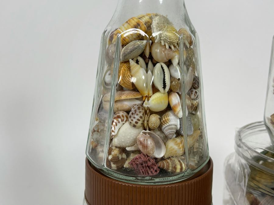 Collection Of Organic Seashells Mainly From The South Pacific Ocean (6 Jars) [Photo 9]