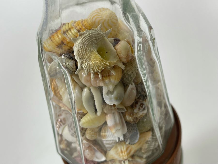 Collection Of Organic Seashells Mainly From The South Pacific Ocean (6 Jars) [Photo 13]