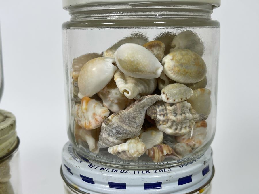 Collection Of Organic Seashells Mainly From The South Pacific Ocean (6 Jars) [Photo 13]