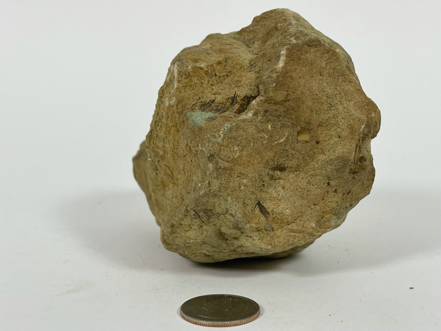Rock With Fossilized Shells 5W X 3D X 3.5H [Photo 8]