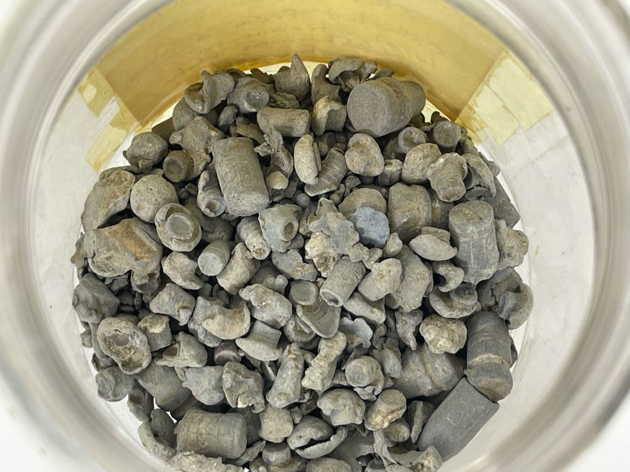 Jar Of Lead Shot And Bullets Collected From Stream While Sluicing For Gold 2lbs 10oz [Photo 3]