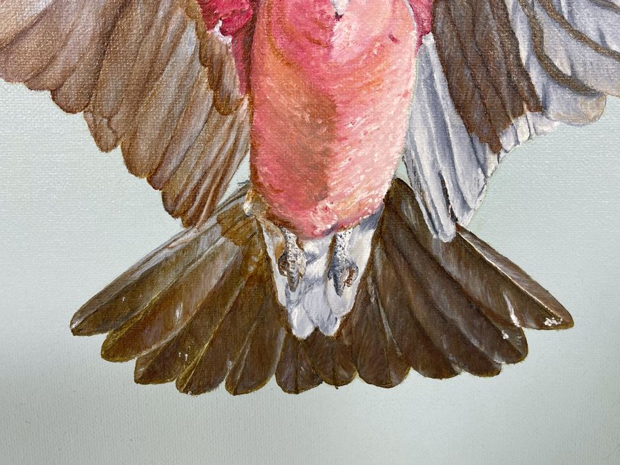 Original Painting Of Parrot Signed Nomax 2006 19.5 X 16 Framed 23.5 X 20 [Photo 5]