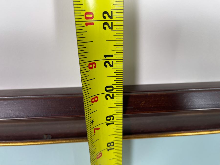 Original Painting Of Parrot Signed Nomax 2006 19.5 X 16 Framed 23.5 X 20 [Photo 11]