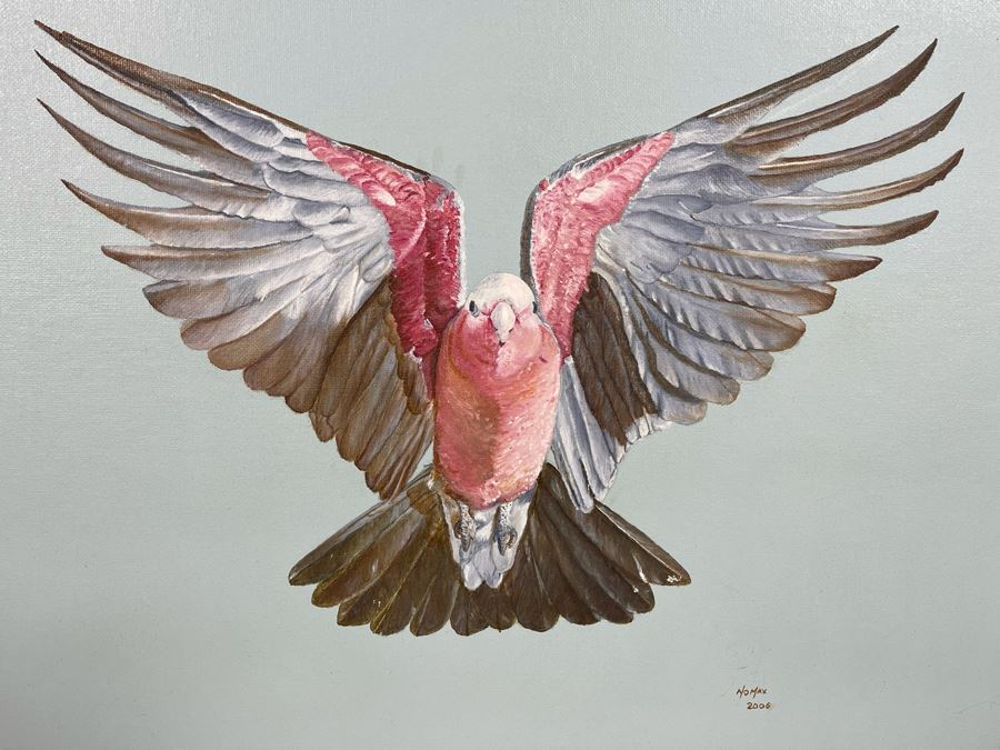 Original Painting Of Parrot Signed Nomax 2006 19.5 X 16 Framed 23.5 X 20 [Photo 3]