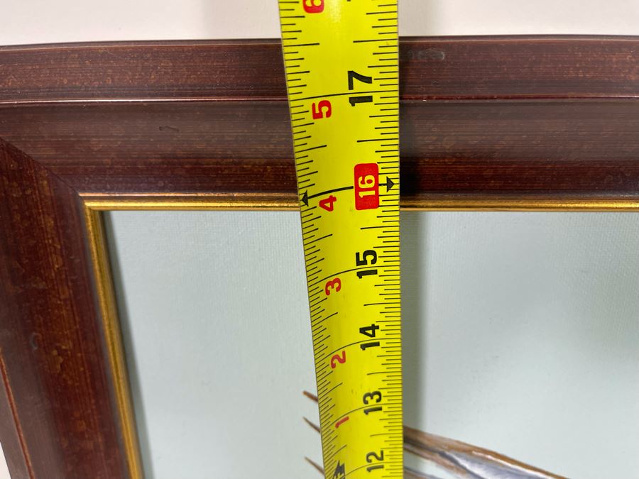 Original Painting Of Parrot Signed Nomax 2006 19.5 X 16 Framed 23.5 X 20 [Photo 9]