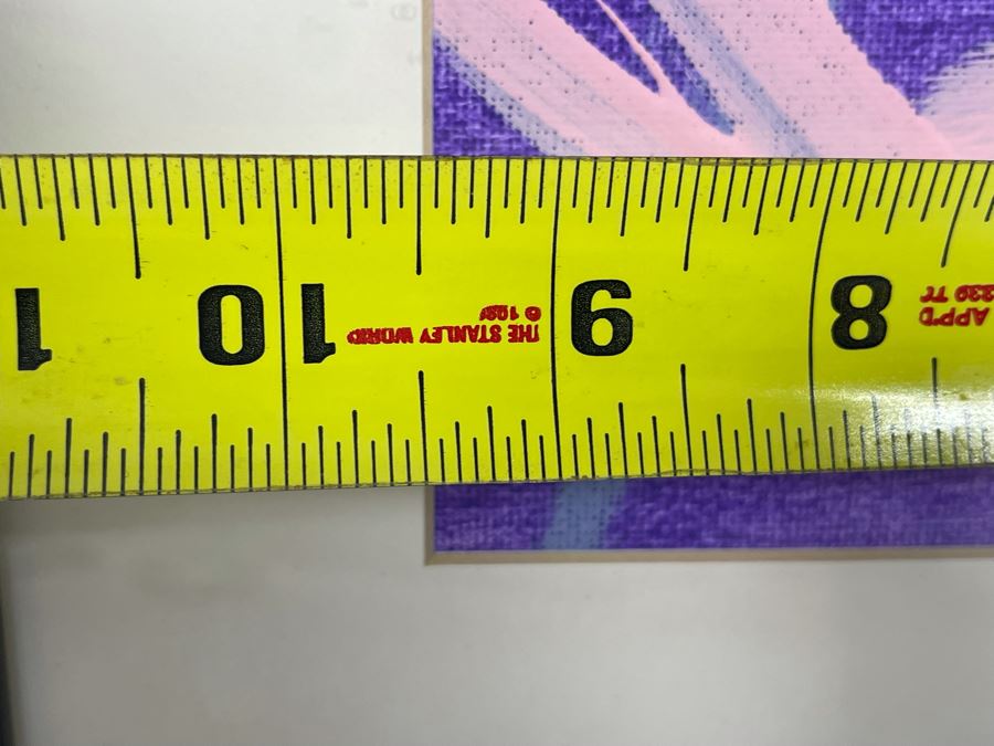 Abstract Bruch Painting By Tembo The Elephant (Former Animal Actor) At The San Diego Zoo In 2006 9.5 X 8 Framed 18 X 15 [Photo 8]