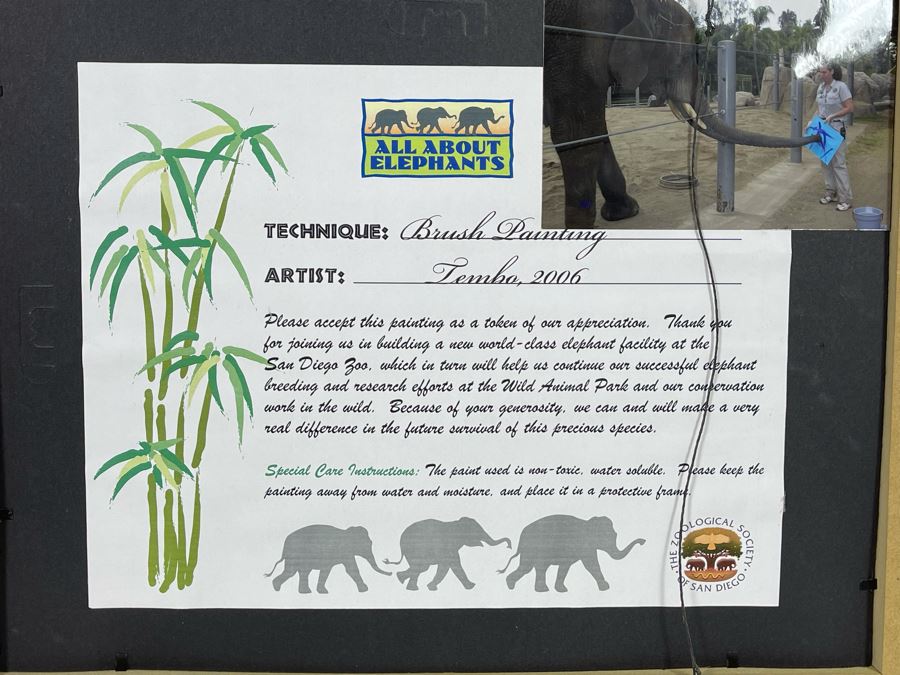 Abstract Bruch Painting By Tembo The Elephant (Former Animal Actor) At The San Diego Zoo In 2006 9.5 X 8 Framed 18 X 15 [Photo 6]