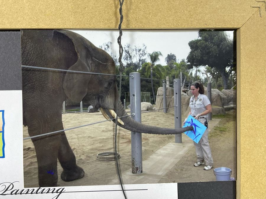 Abstract Bruch Painting By Tembo The Elephant (Former Animal Actor) At The San Diego Zoo In 2006 9.5 X 8 Framed 18 X 15 [Photo 5]