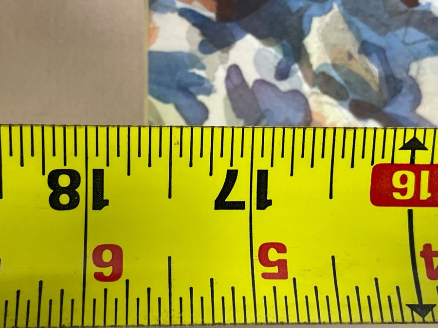 Krentz Johnson Original Watercolor Painting Titled Cardon San Javier 17.5 X 13 Framed 27 X 21.5 [Photo 9]