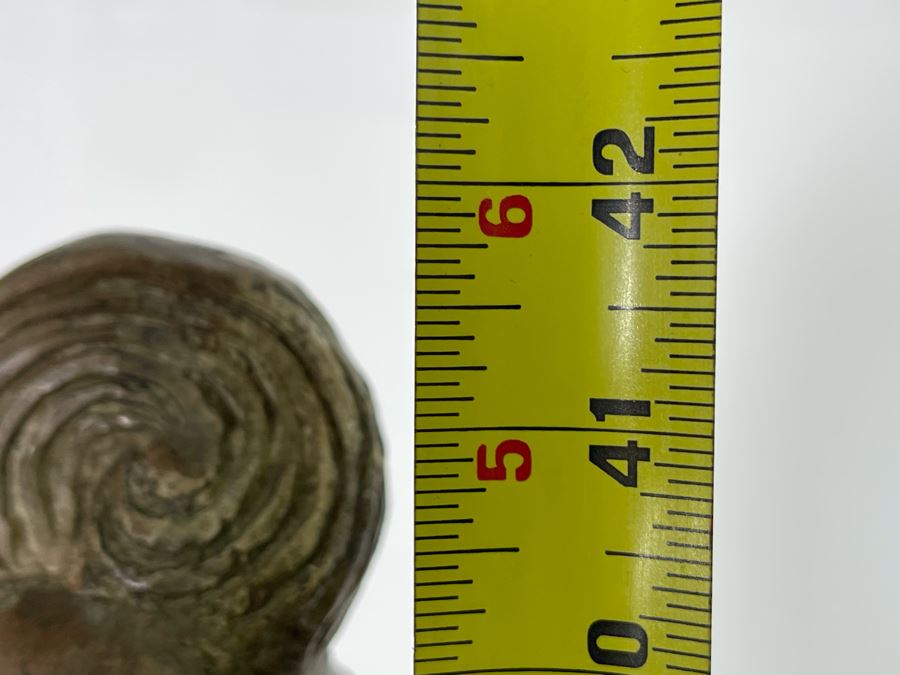 Plaster Standing Guanyin Buddha Statue 42H [Photo 25]