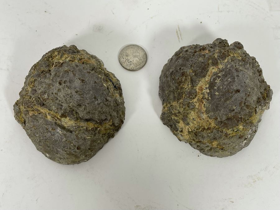 Polished Geode Halves [Photo 5]