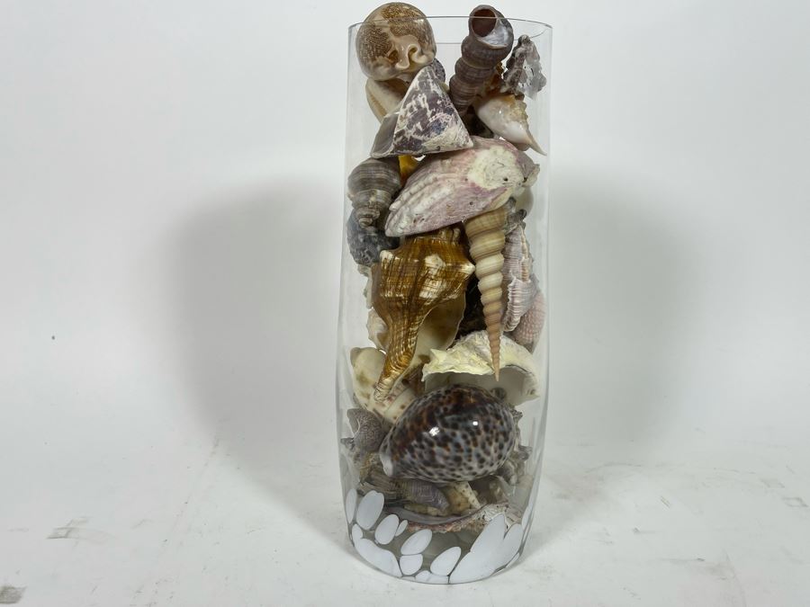 Vilusi Glass Vase Filled With Organic Seashells 5W X 12H [Photo 6]