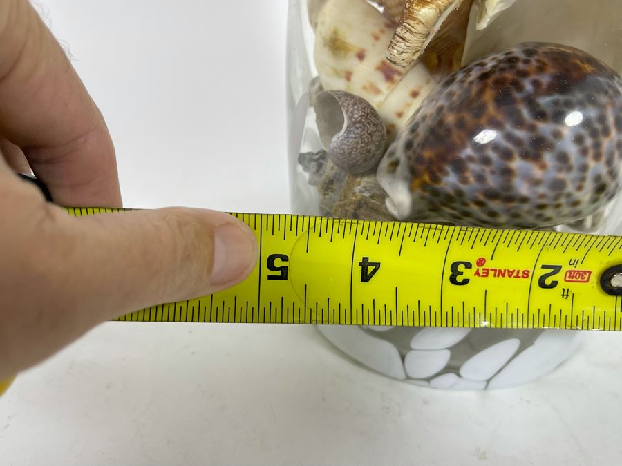 Vilusi Glass Vase Filled With Organic Seashells 5W X 12H [Photo 7]