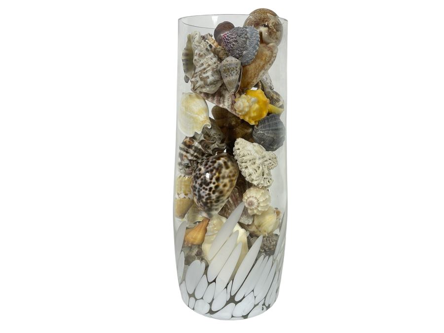 Vilusi Glass Vase Filled With Organic Seashells 5W X 12H [Photo 1]