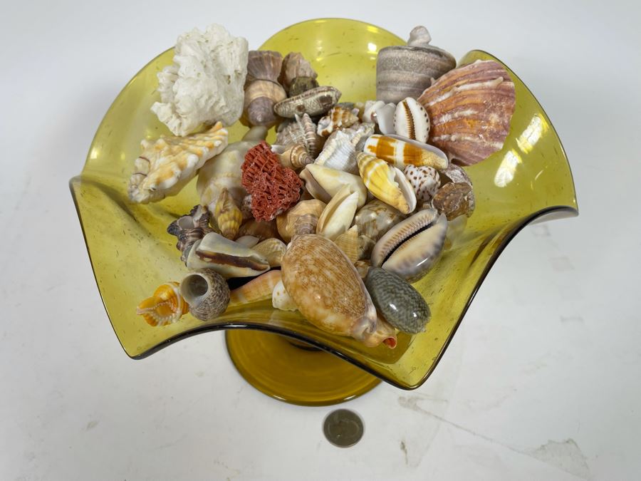 Yellow Art Glass Bowl Filled With Organic Seashells 11W X 7H [Photo 2]