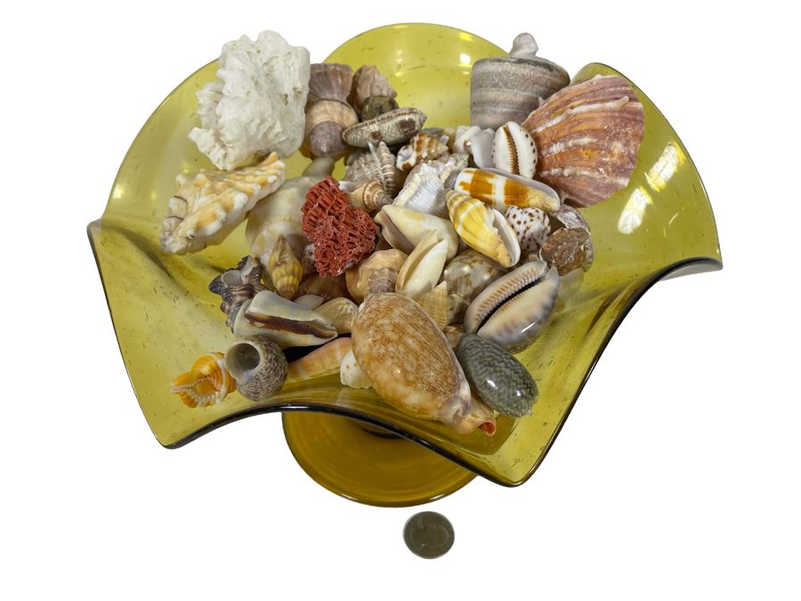 Yellow Art Glass Bowl Filled With Organic Seashells 11W X 7H [Photo 1]