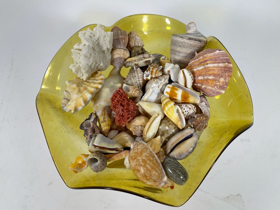 Yellow Art Glass Bowl Filled With Organic Seashells 11W X 7H [Photo 3]