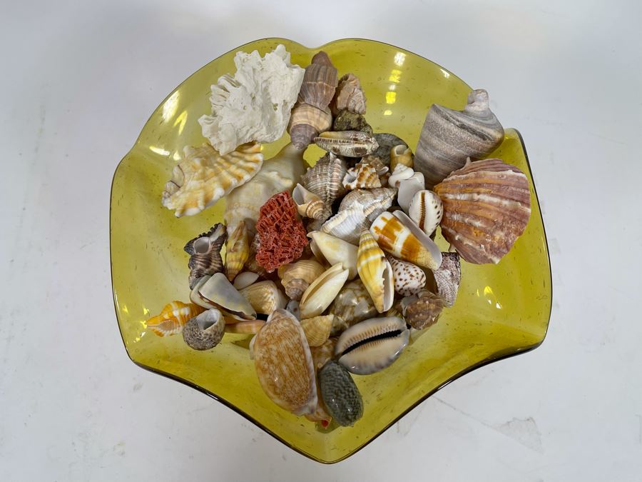 Yellow Art Glass Bowl Filled With Organic Seashells 11W X 7H [Photo 6]
