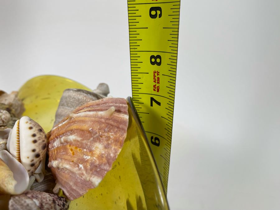 Yellow Art Glass Bowl Filled With Organic Seashells 11W X 7H [Photo 8]