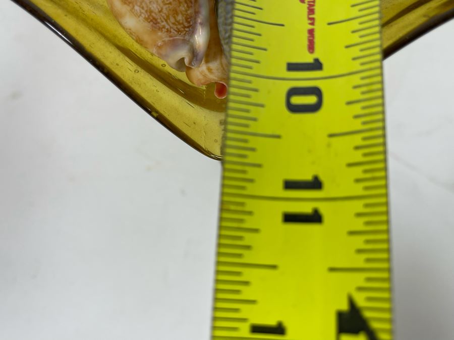 Yellow Art Glass Bowl Filled With Organic Seashells 11W X 7H [Photo 7]