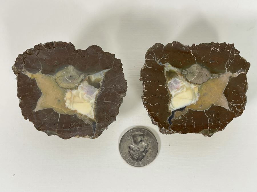 Polished Geode Halves [Photo 2]