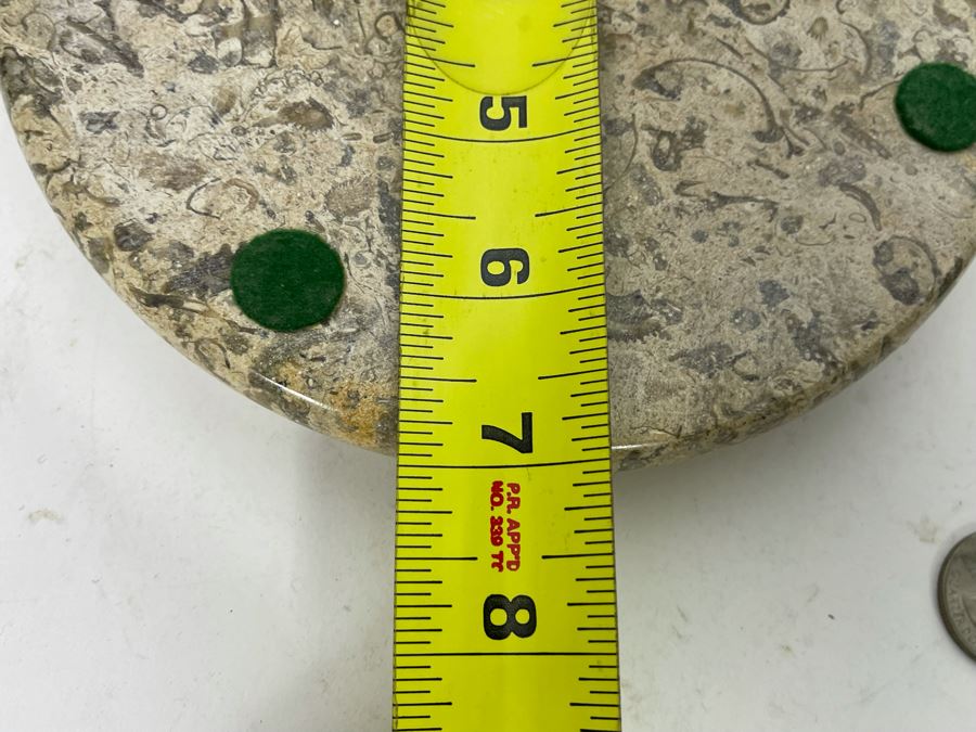 Fossilized Stone And Black Marble Stands 7R [Photo 6]