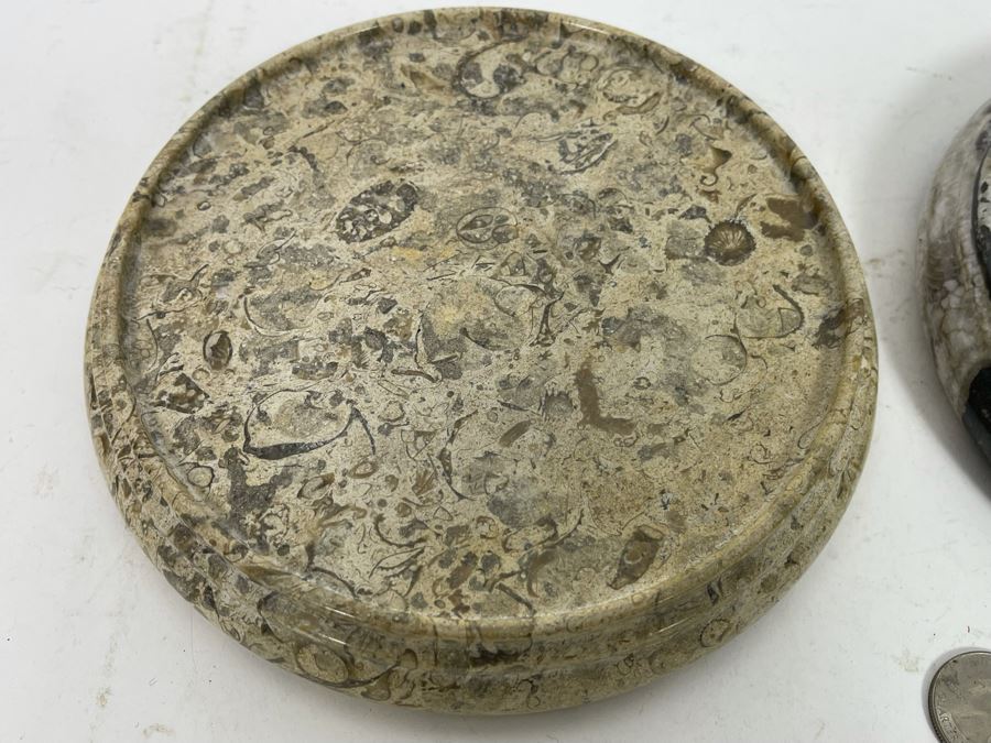 Fossilized Stone And Black Marble Stands 7R [Photo 3]