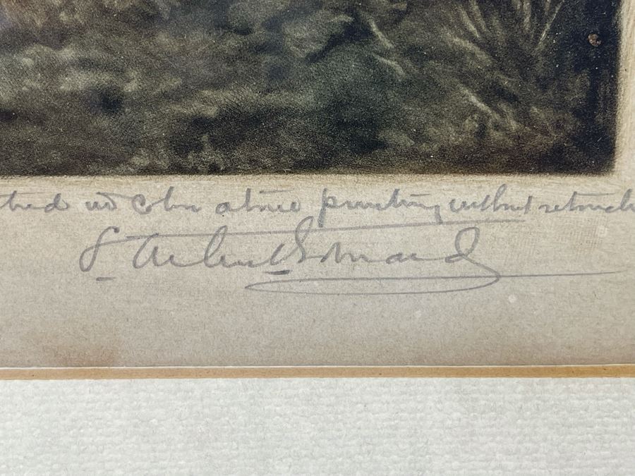 Antique 1901 Engraving Titled 'Mrs. Mary Robinson' ('Peridita') Hand Signed By Samuel Arlent Edwards 6.5 X 15 Framed 13 X 22 [Photo 10]