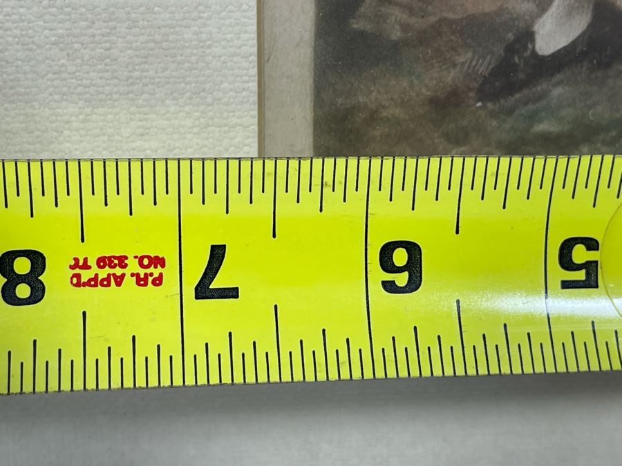 Antique 1901 Engraving Titled 'Mrs. Mary Robinson' ('Peridita') Hand Signed By Samuel Arlent Edwards 6.5 X 15 Framed 13 X 22 [Photo 13]