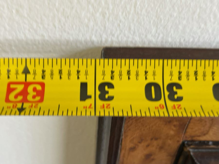 Antique 1613 Giovanni Baccani Hand Colored Engraving 'Basilius Besler' 16.5 X 20 Framed 31 X 34 [Photo 15]