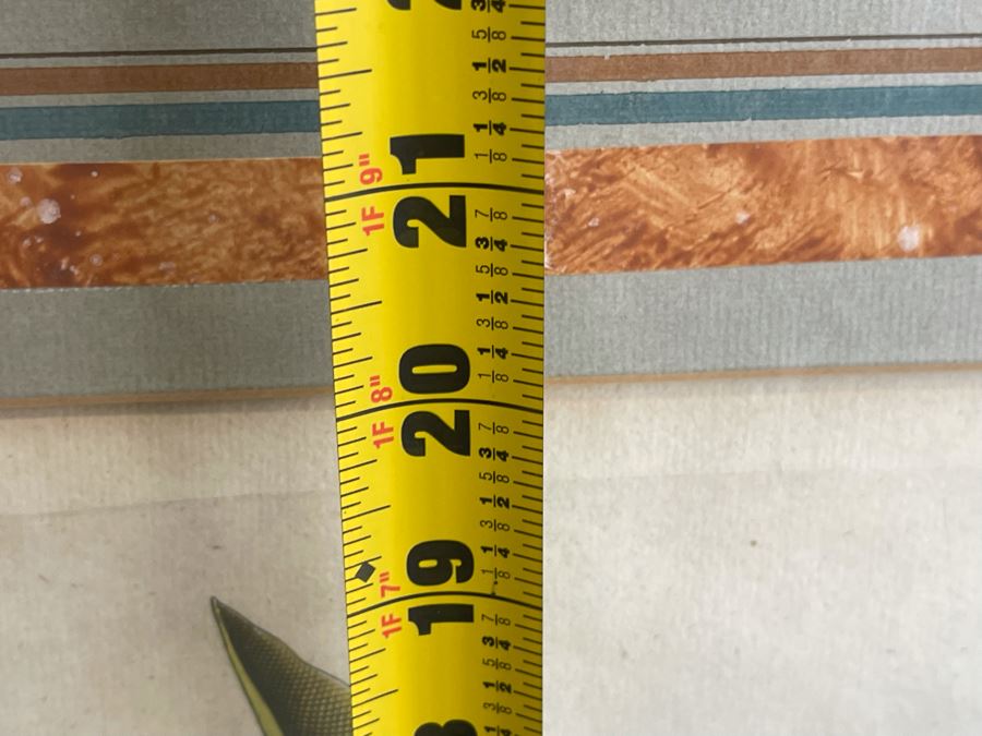 Antique 1613 Giovanni Baccani Hand Colored Engraving 'Basilius Besler' 16.5 X 20 Framed 31 X 34 [Photo 14]