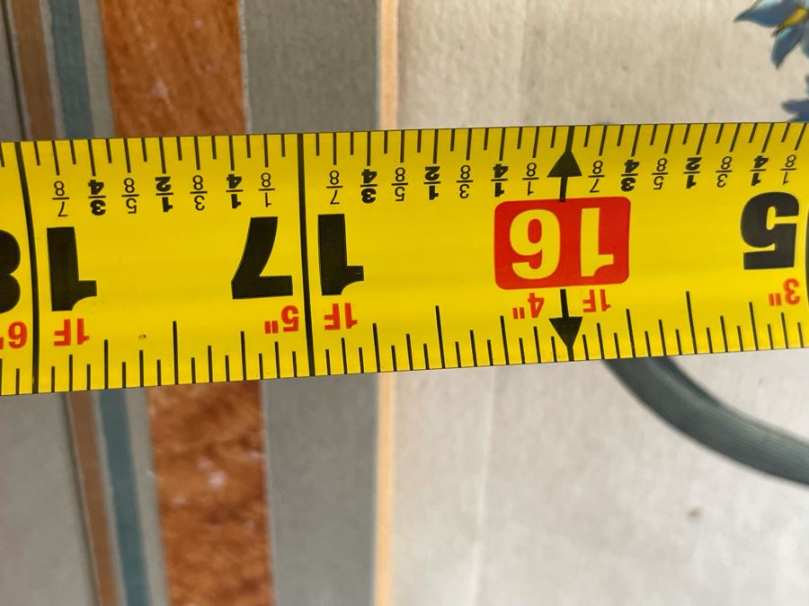 Antique 1613 Giovanni Baccani Hand Colored Engraving 'Basilius Besler' 16.5 X 20 Framed 31 X 34 [Photo 13]