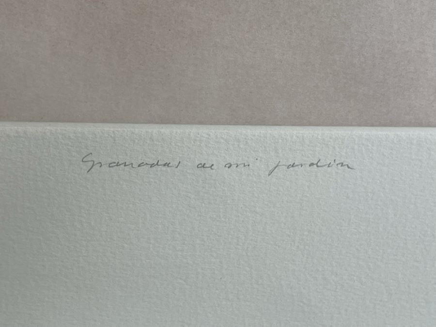 Jesus Gallardo Limited Edition Etching 15.5 X 12 Framed [Photo 7]