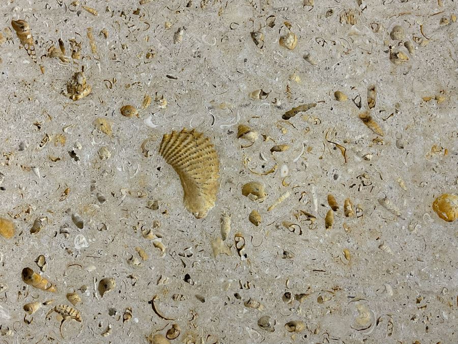 Metal Base With Concrete Top Coffee Table Possibly Kreiss Furniture 52W X 38D X 19.5H [Photo 7]