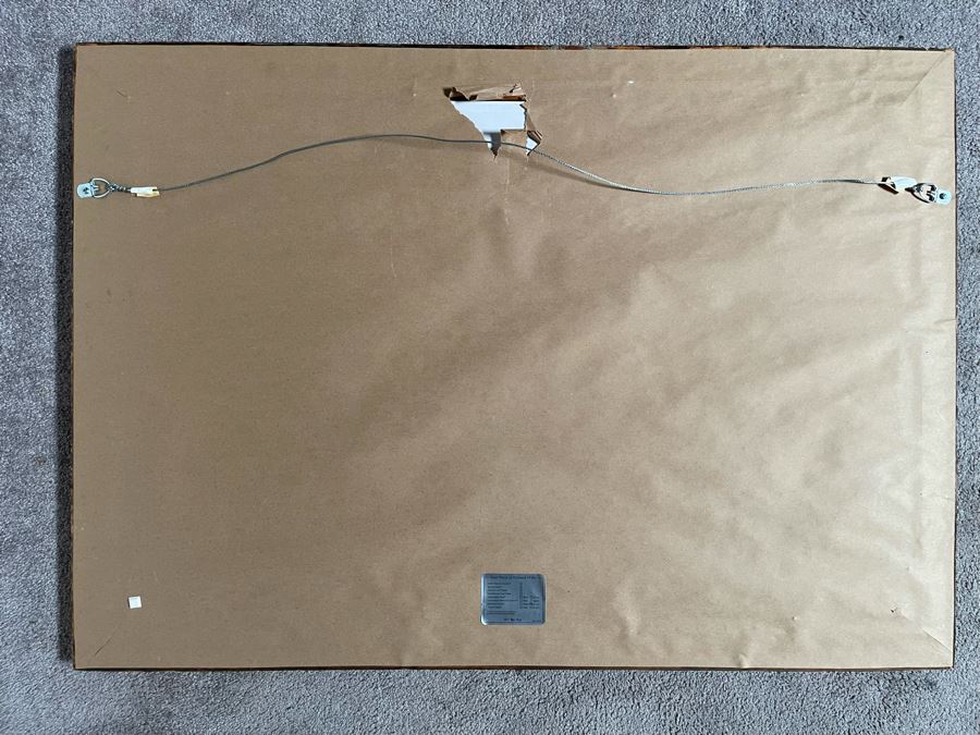 Original Abstract Expressionist Painting 36 X 24 Framed 41 X 29 [Photo 14]