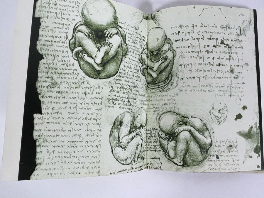Leonardo Da Vinci Anatomical Drawings Hardcover Book [Photo 9]