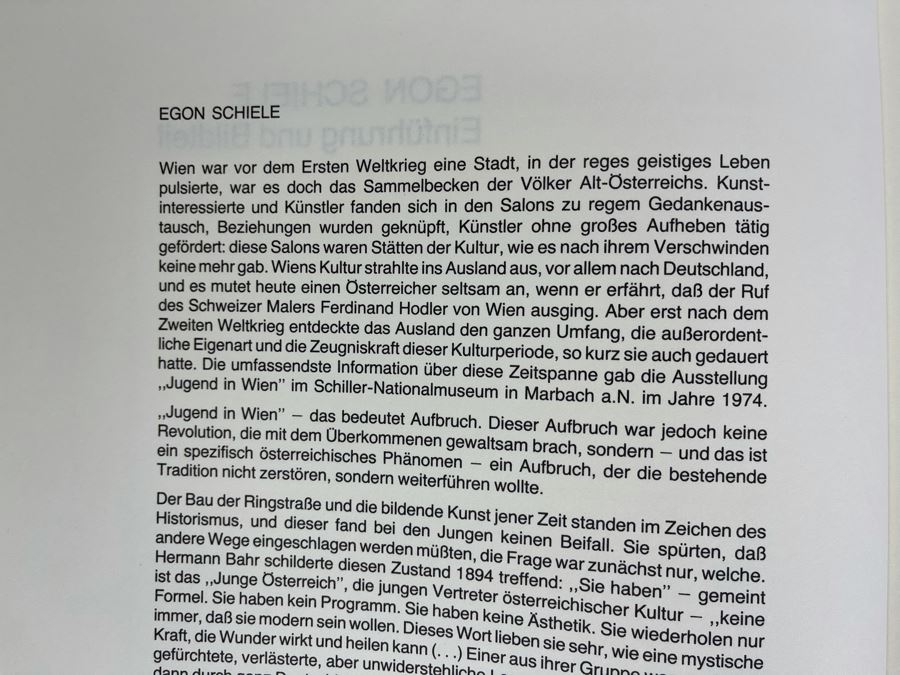 Egon Schiele Und Sein Kreis German Art Book 1982 [Photo 5]