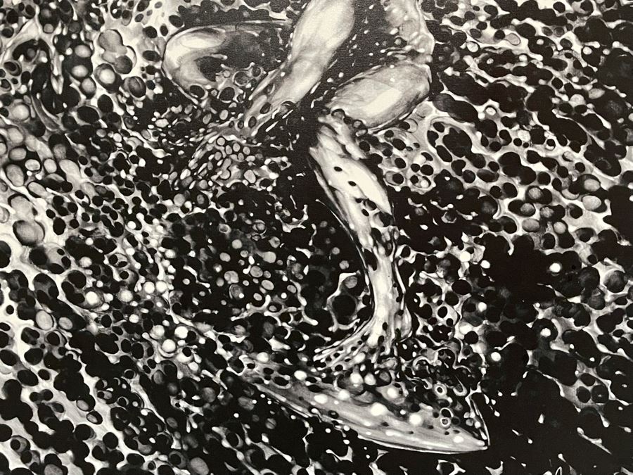 Hand Signed Silver Surfer Canvas Print 36.5 X 46 [Photo 5]