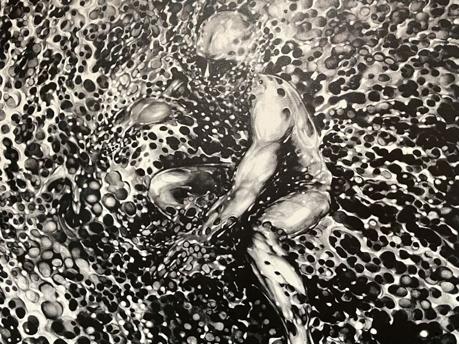 Hand Signed Silver Surfer Canvas Print 36.5 X 46 [Photo 4]