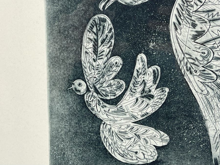 Hand Signed Print Of Birds Artist Signature Illegible 10 X 16 Framed 17 X 24 [Photo 5]