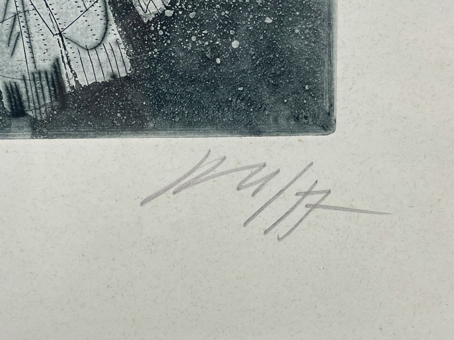 Hand Signed Print Of Birds Artist Signature Illegible 10 X 16 Framed 17 X 24 [Photo 3]