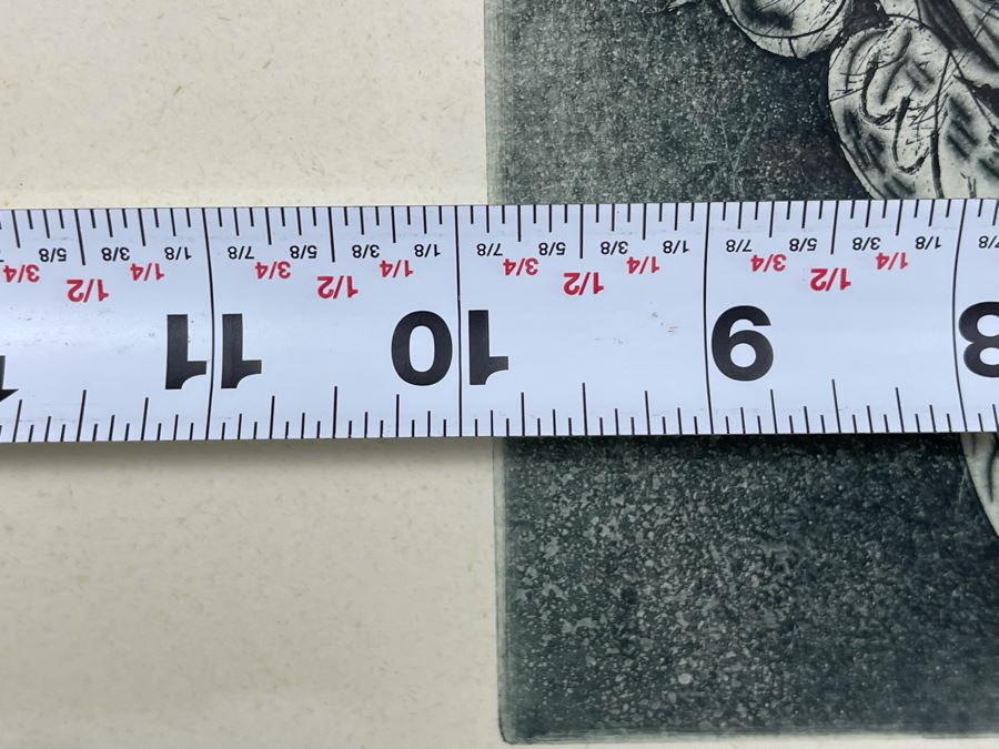 Hand Signed Print Of Birds Artist Signature Illegible 10 X 16 Framed 17 X 24 [Photo 9]