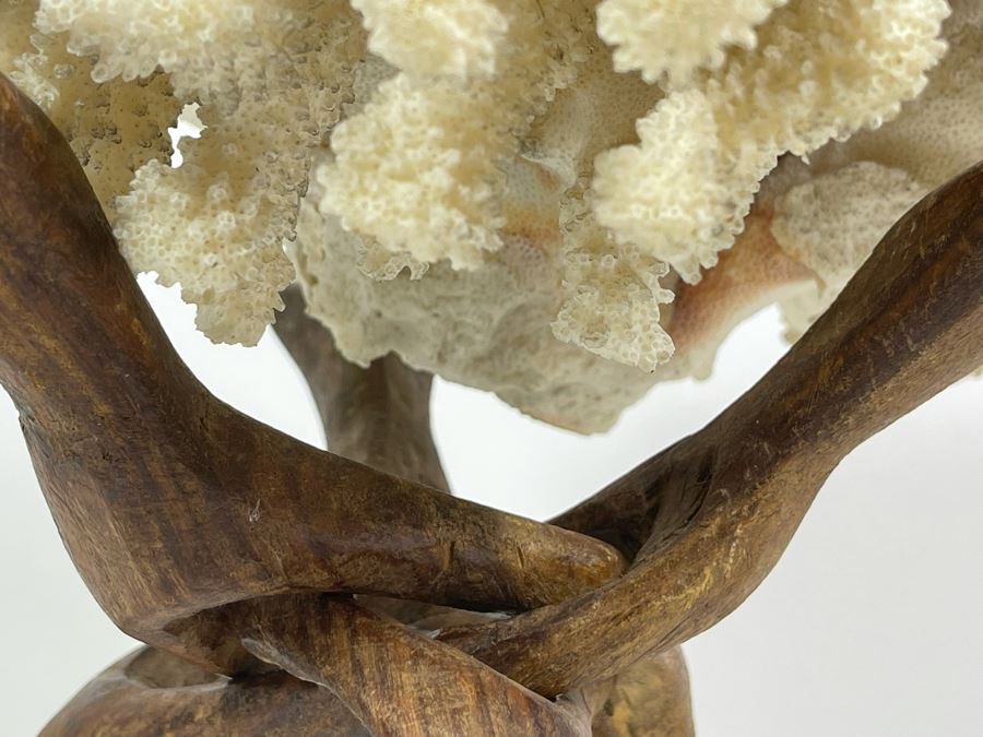 Organic White Coral With Wooden Stand 11W X 7H [Photo 8]