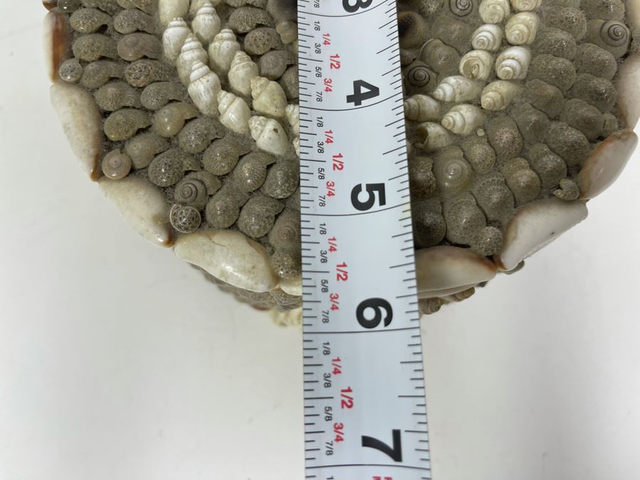 Pair Of Handmade Nesting Shell Decorated Boxes By Gloria Vanderbilt 6.5W X 6D X 4H [Photo 21]