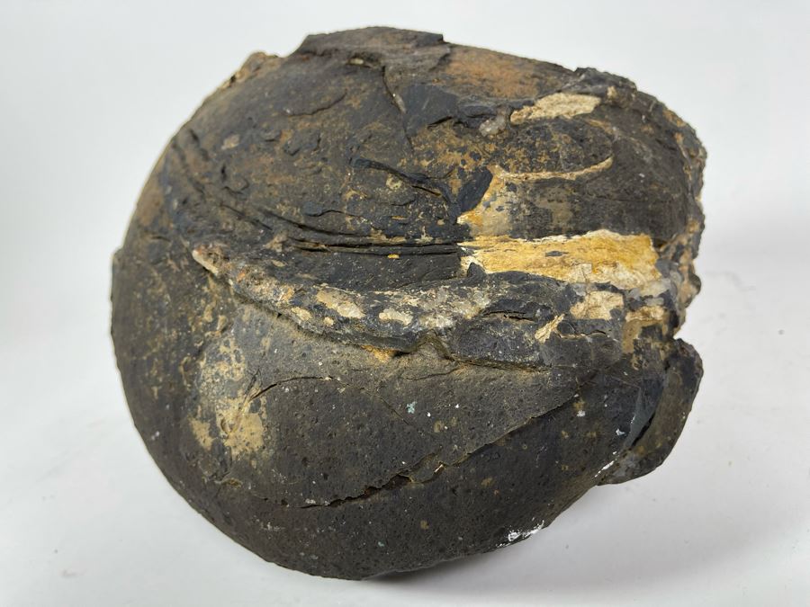 Large Polished Agate Geode Half 12W X 9D X 8H [Photo 15]