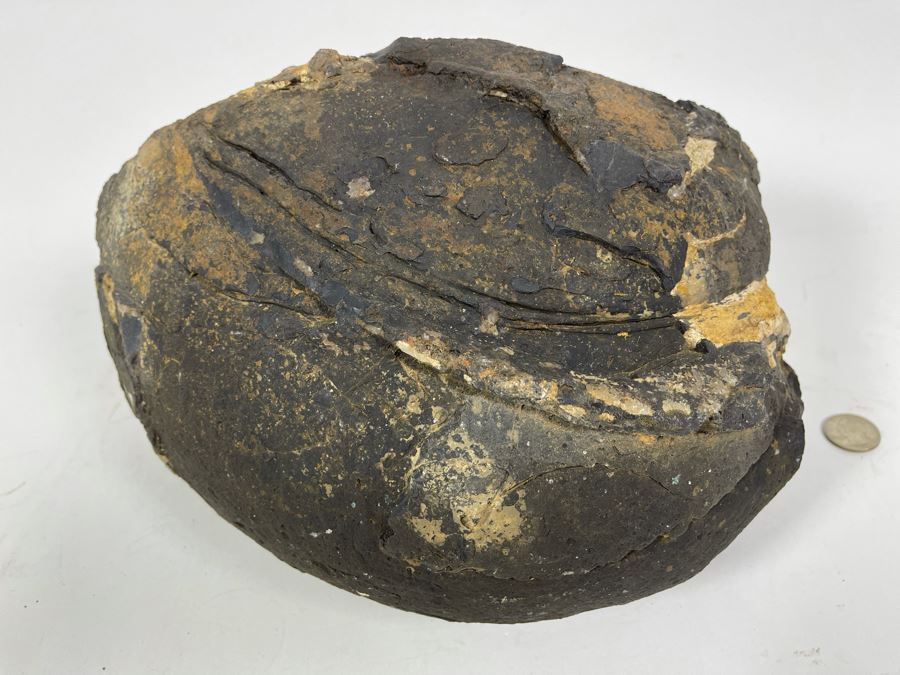 Large Polished Agate Geode Half 12W X 9D X 8H [Photo 13]