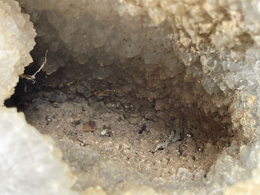 Large Polished Agate Geode Half 12W X 9D X 8H [Photo 11]