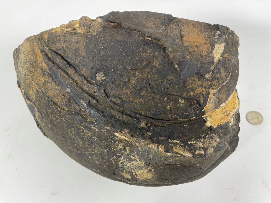 Large Polished Agate Geode Half 12W X 9D X 8H [Photo 14]