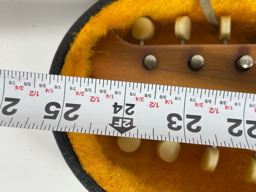 Vintage La Valenciana Bowl Back Mandolin With Case [Photo 20]