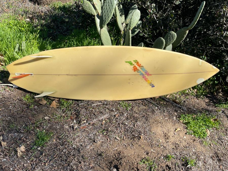 Vintage Eighties Natural Progession Fish Surfboard Shaped By Dean Edwards 195cm 6'4' [Photo 5]